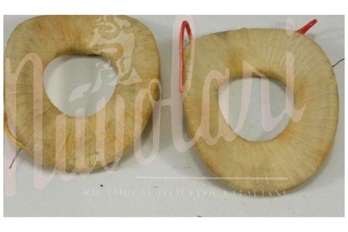 SERIE CAMPI DINAMO M.MARELLI 250/12 VOLT