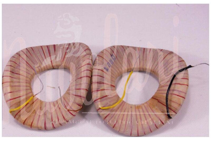 SERIE CAMPI DINAMO M.MARELLI 300/12V