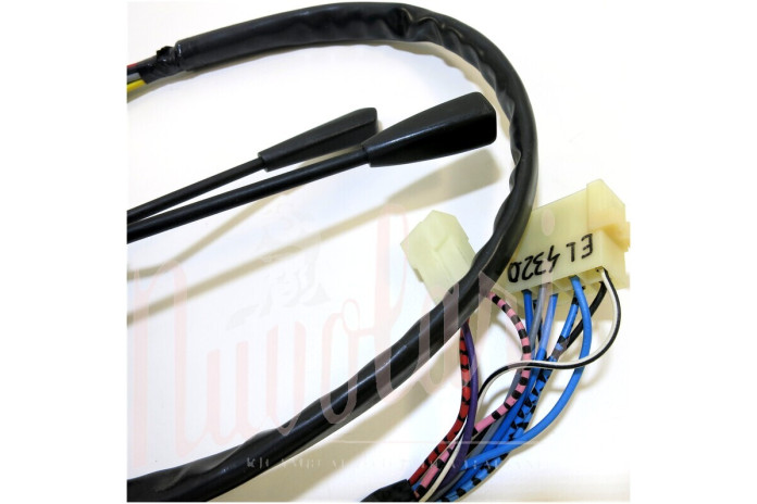 DEVIO LUCI VIF NERO BOLLINO BIANCO