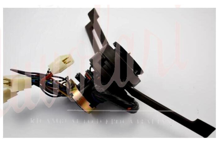 DEVIO LUCI CAVIS VITALONI MARRONE