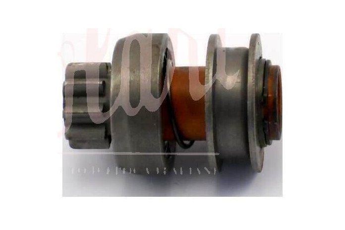 PIGNONE MOTORINO AVV.