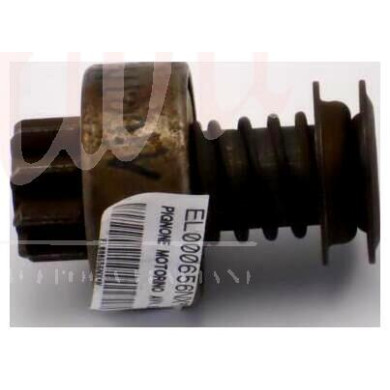 PIGNONE MOTORINO AVV. BOSCH