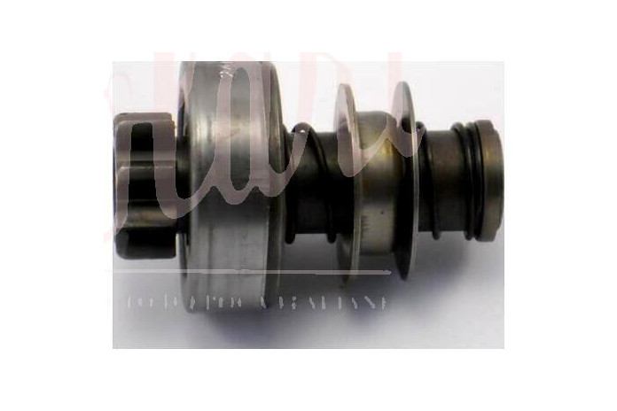 PIGNONE MOTORINO AVV. BOSCH