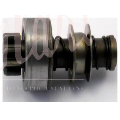 PIGNONE MOTORINO AVV. BOSCH