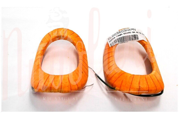 SERIE CAMPI DINAMO M.M X DN44 B FILO DX DA SOTTO 250/12 VOLT
