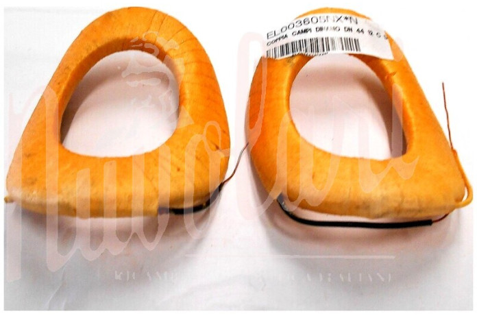 SERIE CAMPI DINAMO M.M X DN44 C-D FILO DX DA SOTTO 250/12 VOLT