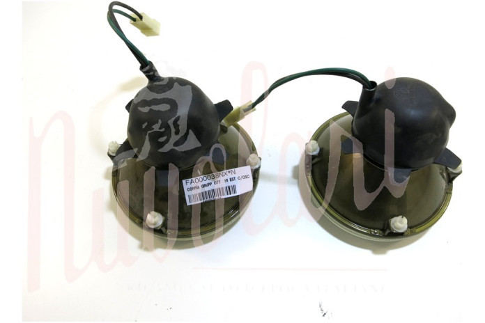 COPPIA GRUPPO OTTICO CARELLO H1 D/136 INT PROF