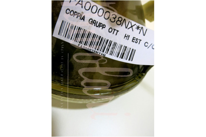COPPIA GRUPPO OTTICO CARELLO H1 D/136 INT PROF