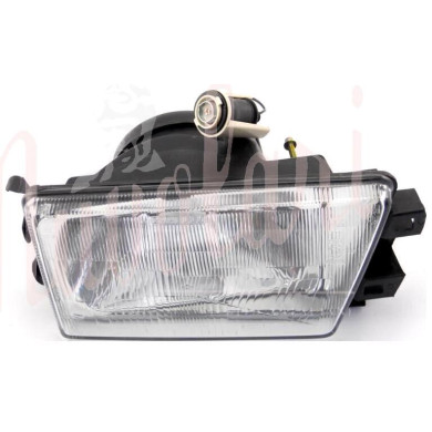 LENTE FANALE POSTERIOREOLSA