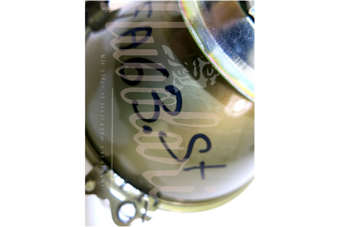 GRUPPO OTTICO CARELLO H1 D/136 INT PROF 2 ATT