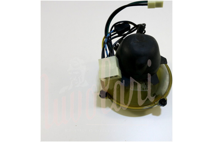 GRUP OTT CARL GIALLO H1D/136 EST C/0SC C/POS 3 AT