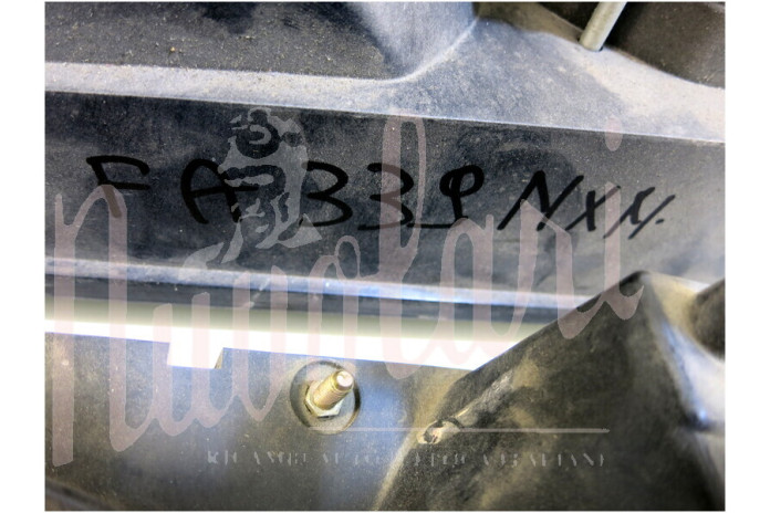 COPPIA FARI SIEM H1-H1 C/REG AUTOM