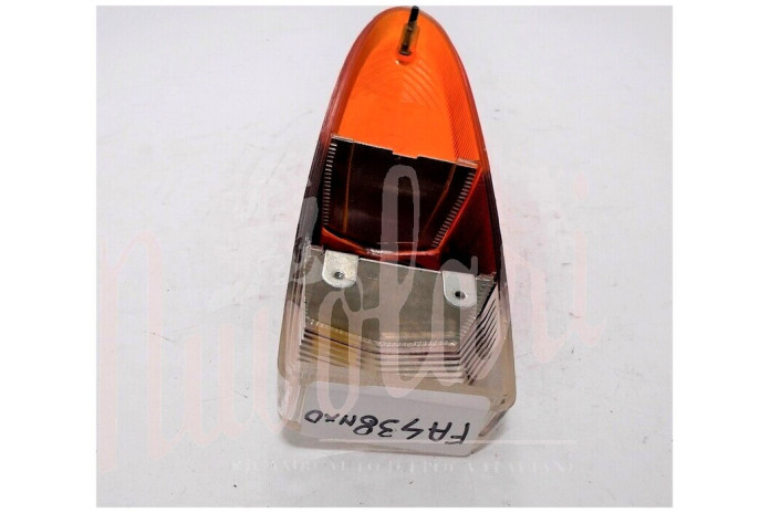 LENTE FANALE POSTERIORECARELLO