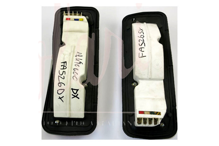 COPPIA FANALI POSTERIORI CARELLO