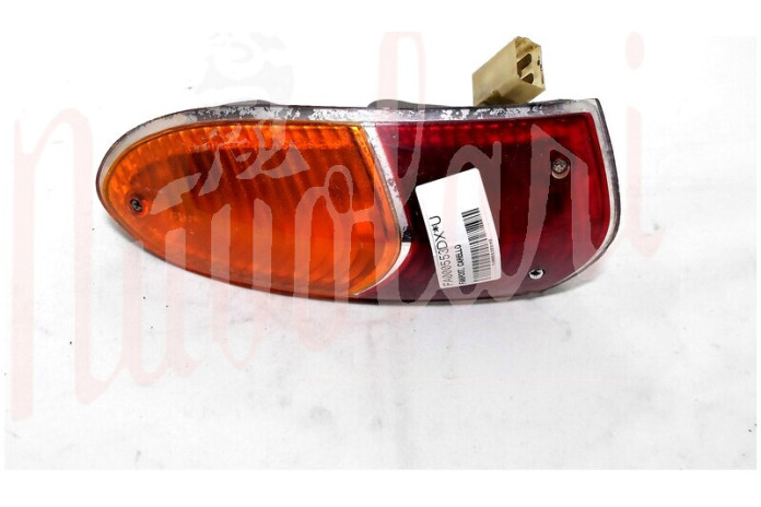 FANALE POSTERIORE CARELLO