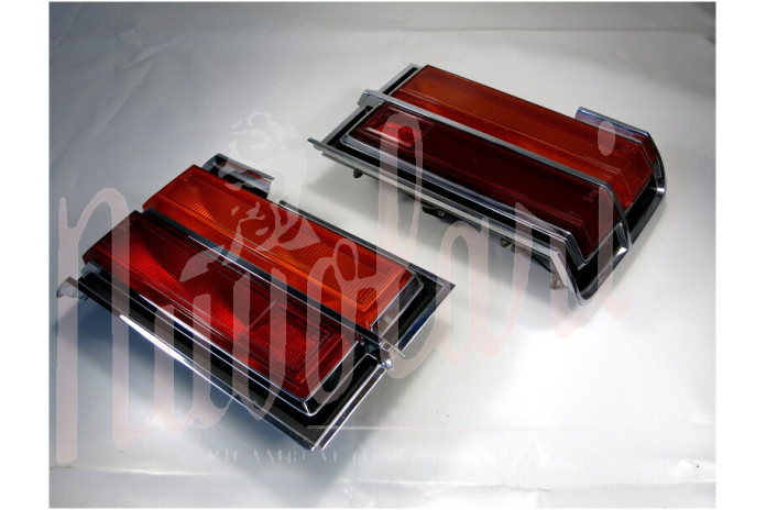 COPPIA FANALI POSTERIORI STARS