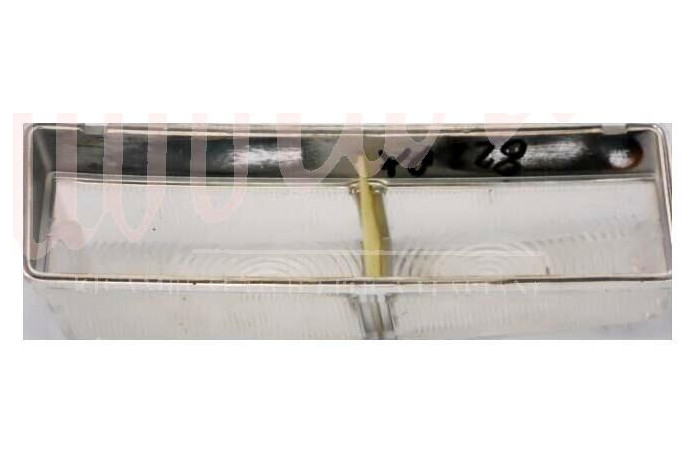 LENTE FANALINI ANTERIORE OLSA BIANCA