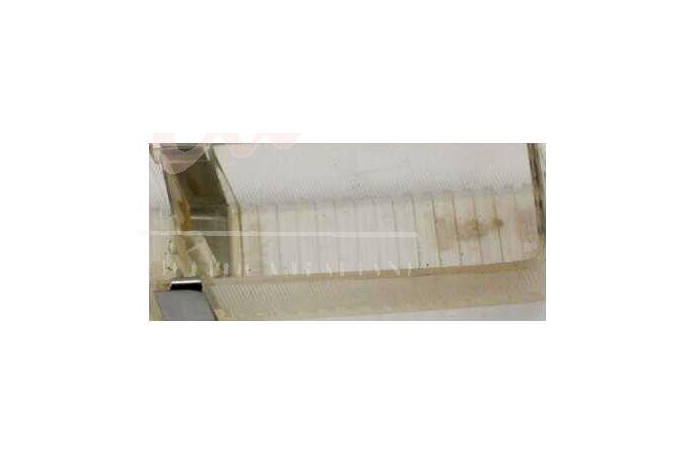 LENTE ANTERIORE ALTISSIMO BIANCA