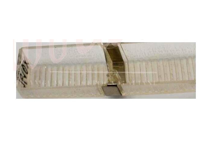 LENTE ANTERIORE STARS BIANCO