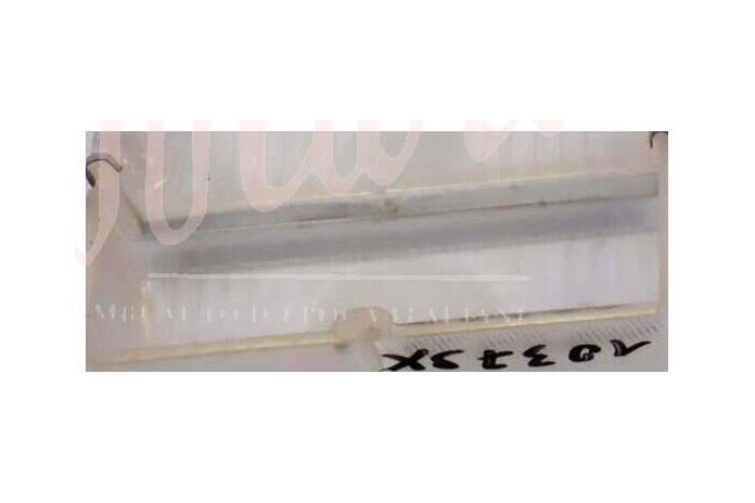 LENTE ANTERIORE CARELLOBIANCA