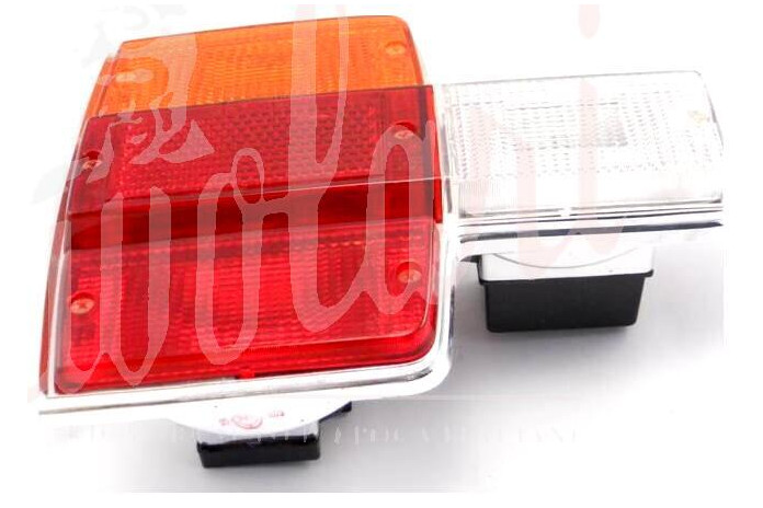 FANALE POSTERIORE  SIEM