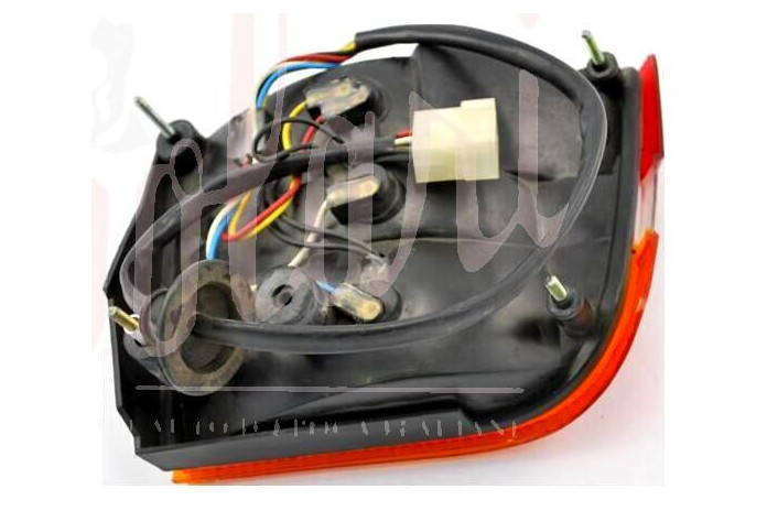 FANALE POSTERIORE OLSA