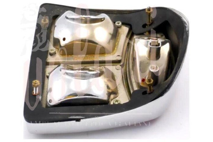 COPPIA FANALI POSTERIORI CARELLO