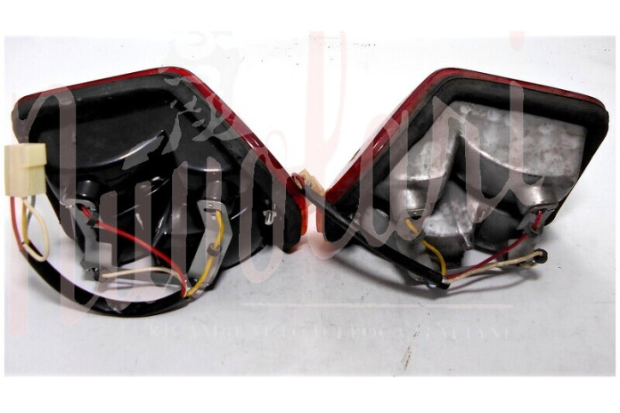 COPPIA FANALI POSTERIORI ALTISSIMO