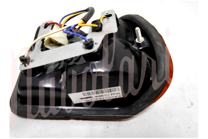 FANALE POSTERIORE CONCORRENZA