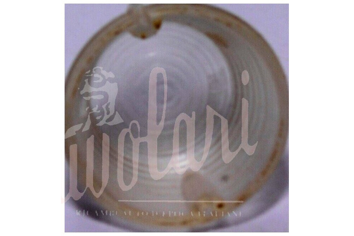 LENTE FANALE POSTERIORECONCORRENZA BIANCA