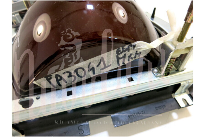 COPPIA FARO ELMA ASS C/OSC C/SUPPORTO