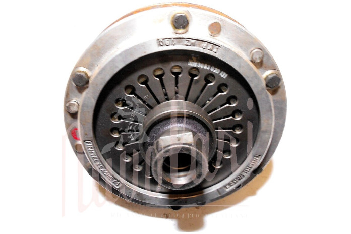 GRUPPO VOLANO COMPLETO SACHS BIDISCO D/190