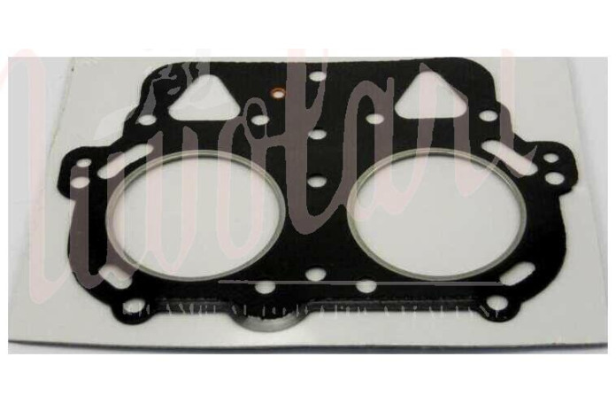 GUARNIZIONE TESTA  (ATTENZIONE LA MACCHINA NE MONTA 2)