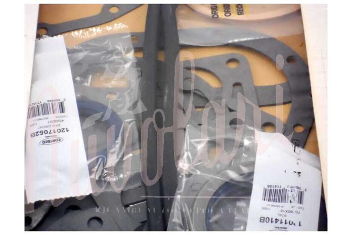 SERIE GUARNIZIONI MOTORE CON PARAOLI