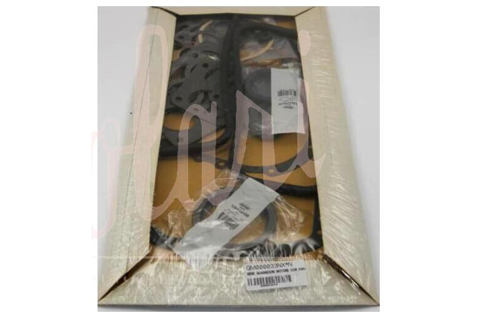 SERIE GUARNIZIONI MOTORE SENZA TESTA CON PARAOLI