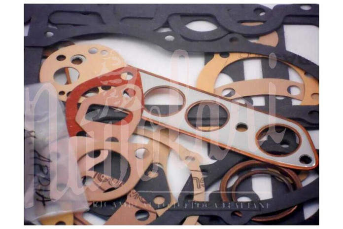 SERIE MOTORE CON PARAOLI