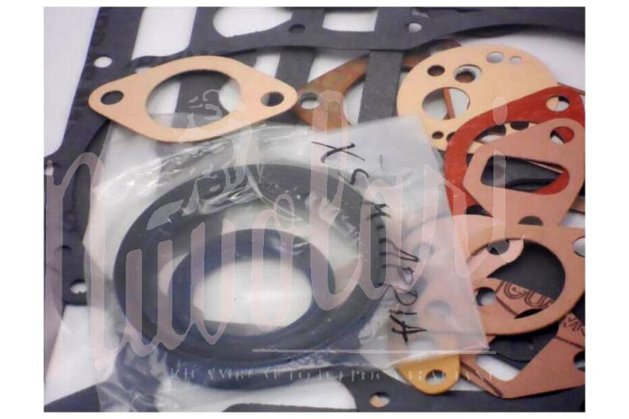 SERIE MOTORE CON PARAOLI