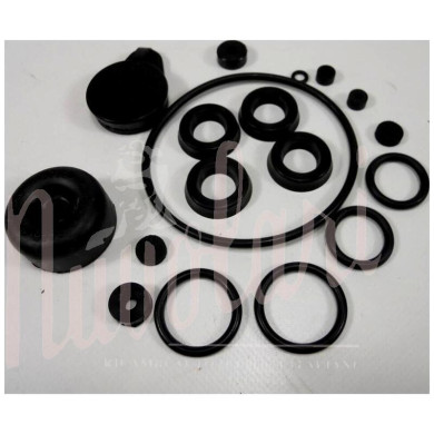 SERIE GOMMINI POMPA FRENI CON POMPANTI D.25