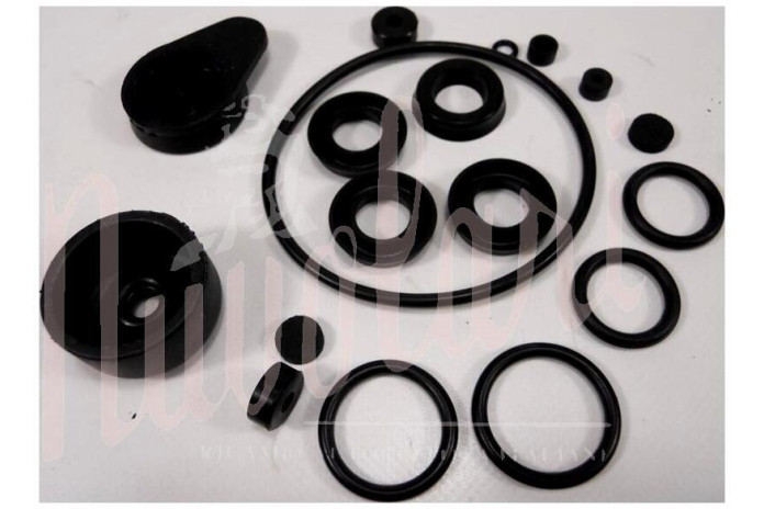 SERIE GOMMINI POMPA FRENI CON POMPANTI d.25