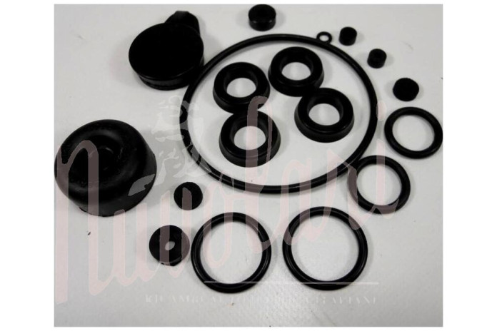 SERIE GOMMINI POMPA FRENI CON POMPANTI D.25