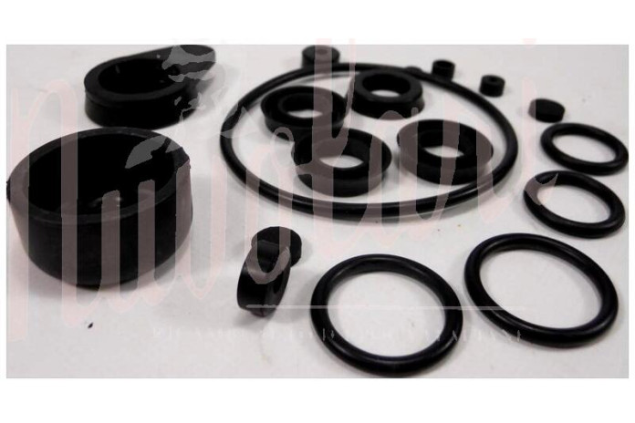 SERIE GOMMINI POMPA FRENI CON POMPANTI D.25