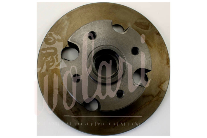 DISCO FRENO POSTERIORE D.233