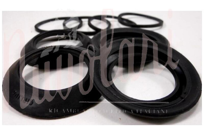 SERIE GOMMINI PINZA FRENO ANTERIORE DUNLOP D.48