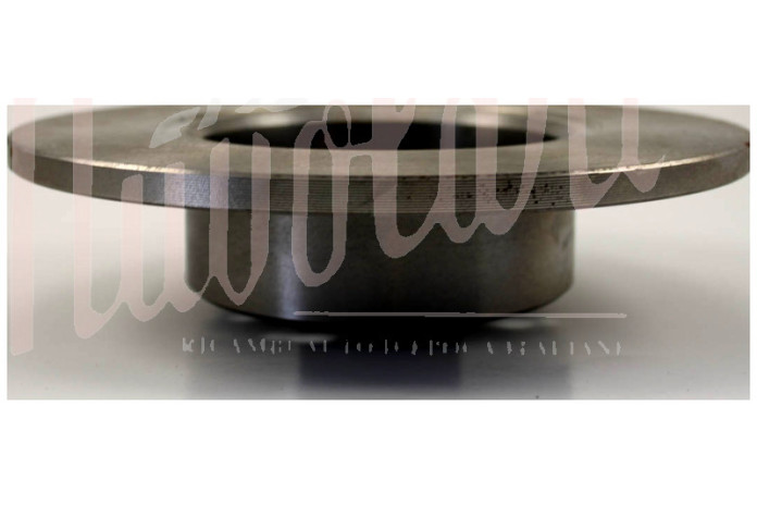 DISCO FRENO POSTERIORE