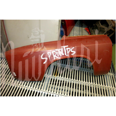 PARAFANGO POSTERIORE D