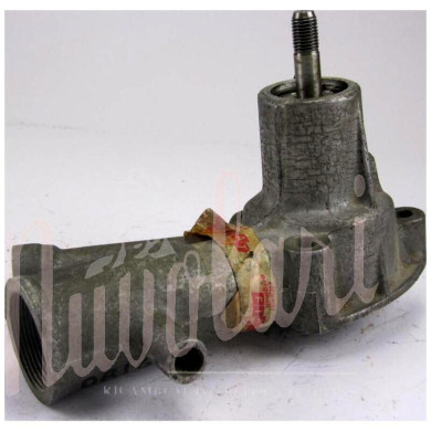 POMPA ACQUA CON ALBERINO FILETTATO CON 1 TUBETTO (IN GHISA)