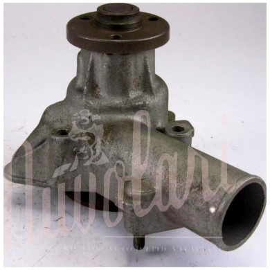 POMPA ACQUA H81,5 FORO OVALE LUNGO GIRANTE H16,5