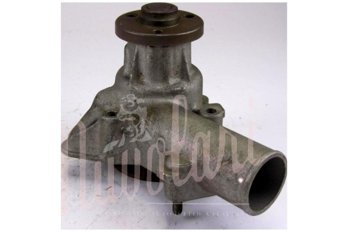 POMPA ACQUA H81,5 FORO OVALE LUNGO GIRANTE H16,5