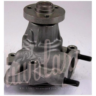 POMPA ACQUA GIRANTE ALTA 16.5