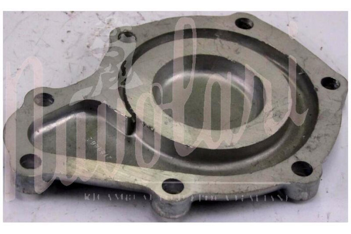 COPERCHIO POMPA ACQUA